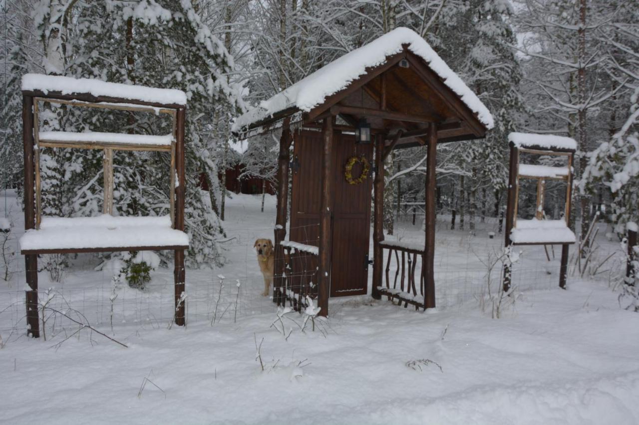 Glamping Drzwi Do Lasu * Supraśl
