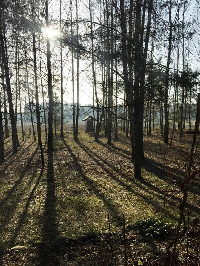 Glamping Glamping Drzwi Do Lasu