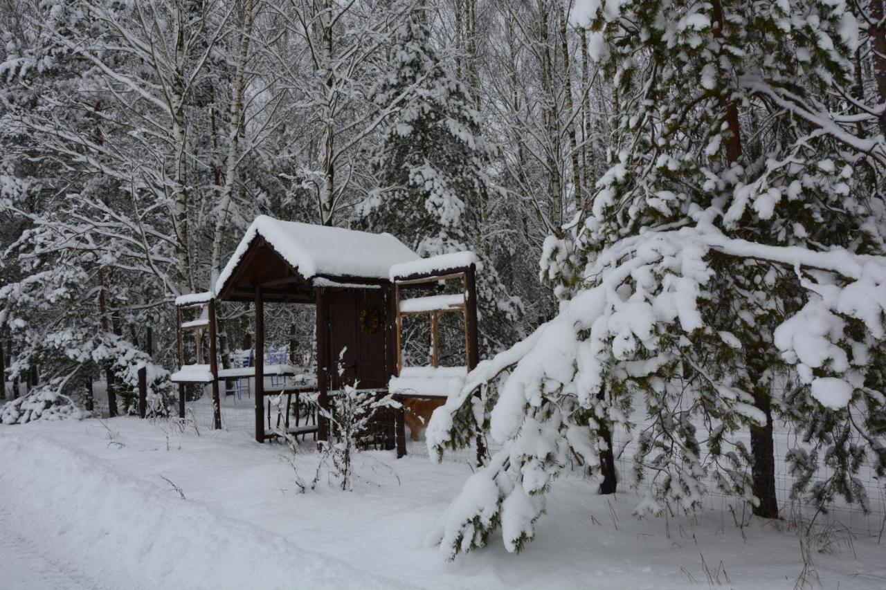 Glamping Glamping Drzwi Do Lasu *
